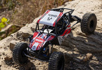 Axial 1/8 Gilamon AXP8 2.2 4WD RTR