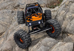 Axial Capra 1.9 4WS 1:10 RTR