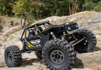 Axial Capra 1.9 4WS 1:10 RTR