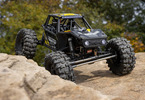 Axial Capra 1.9 4WS 1:10 RTR