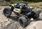 Axial Capra 1:18 4WS RTR