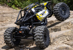 Axial Capra 1:18 4WS RTR