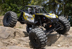 Axial Capra 1:18 4WS RTR