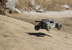 ECX 1/18 Roost 4WD