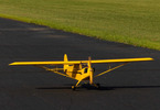 Hangar 9 J-3 Cub 10cc ARF, 82.5"