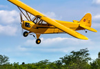 Hangar 9 J-3 Cub 10cc ARF, 82.5"