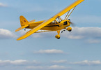 Hangar 9 J-3 Cub 10cc ARF, 82.5"