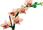 LEGO Botanicals - Mini Orchid