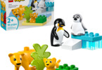 LEGO DUPLO - Rodinky divokých zvířat: Tučňáci a lvi