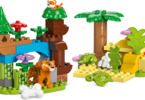 LEGO DUPLO - 3in1 Wild Animal Families