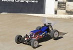 22 3.0 MM Race Kit: 1/10 2WD Buggy