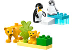 LEGO DUPLO - Rodinky divokých zvířat: Tučňáci a lvi