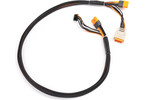 Spektrum Charge Lead with Balance Extension 24" IC3, 2-6S