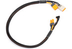 Spektrum Charge Lead with Balance Extension 24" IC5, 2-4S